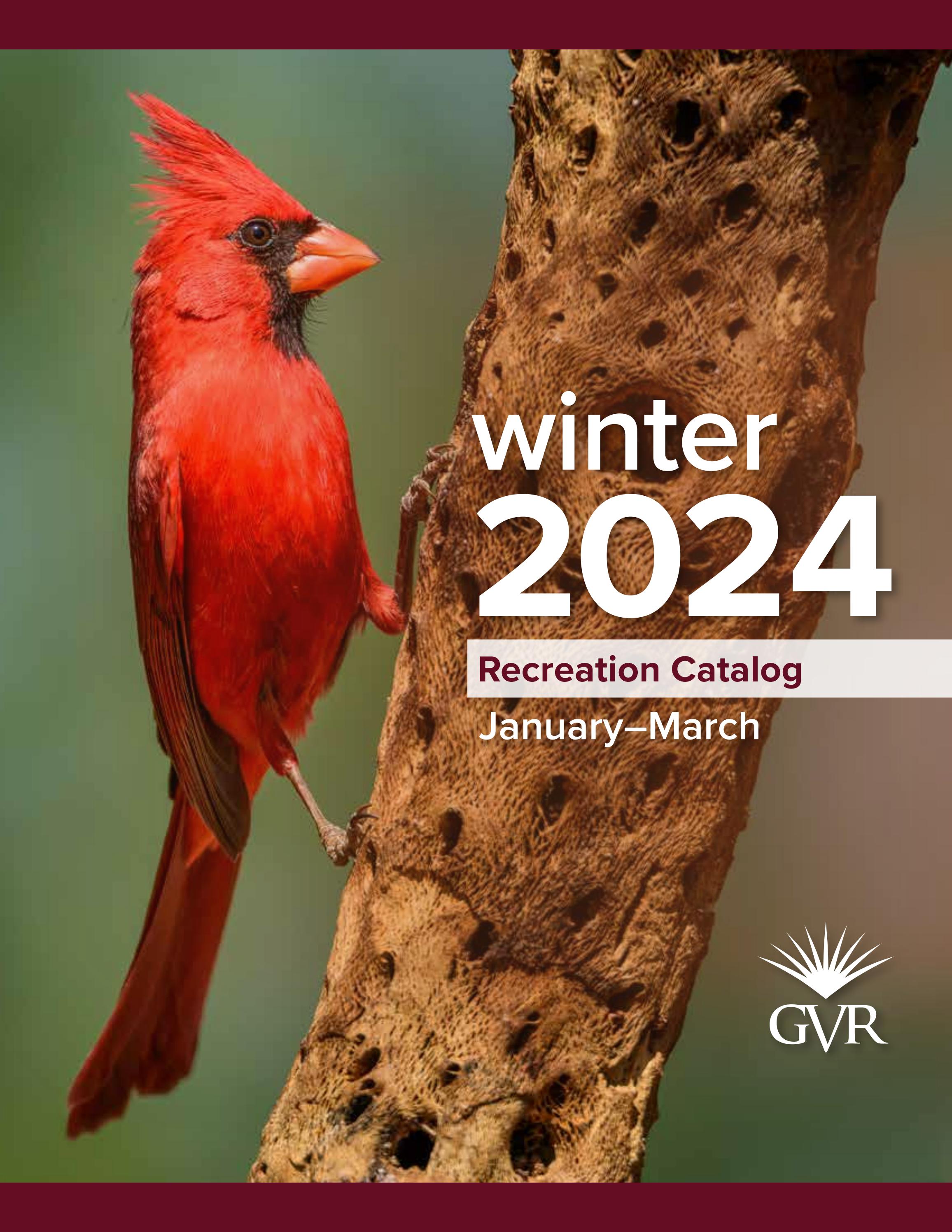 Winter Recreation Catalog by Issuu