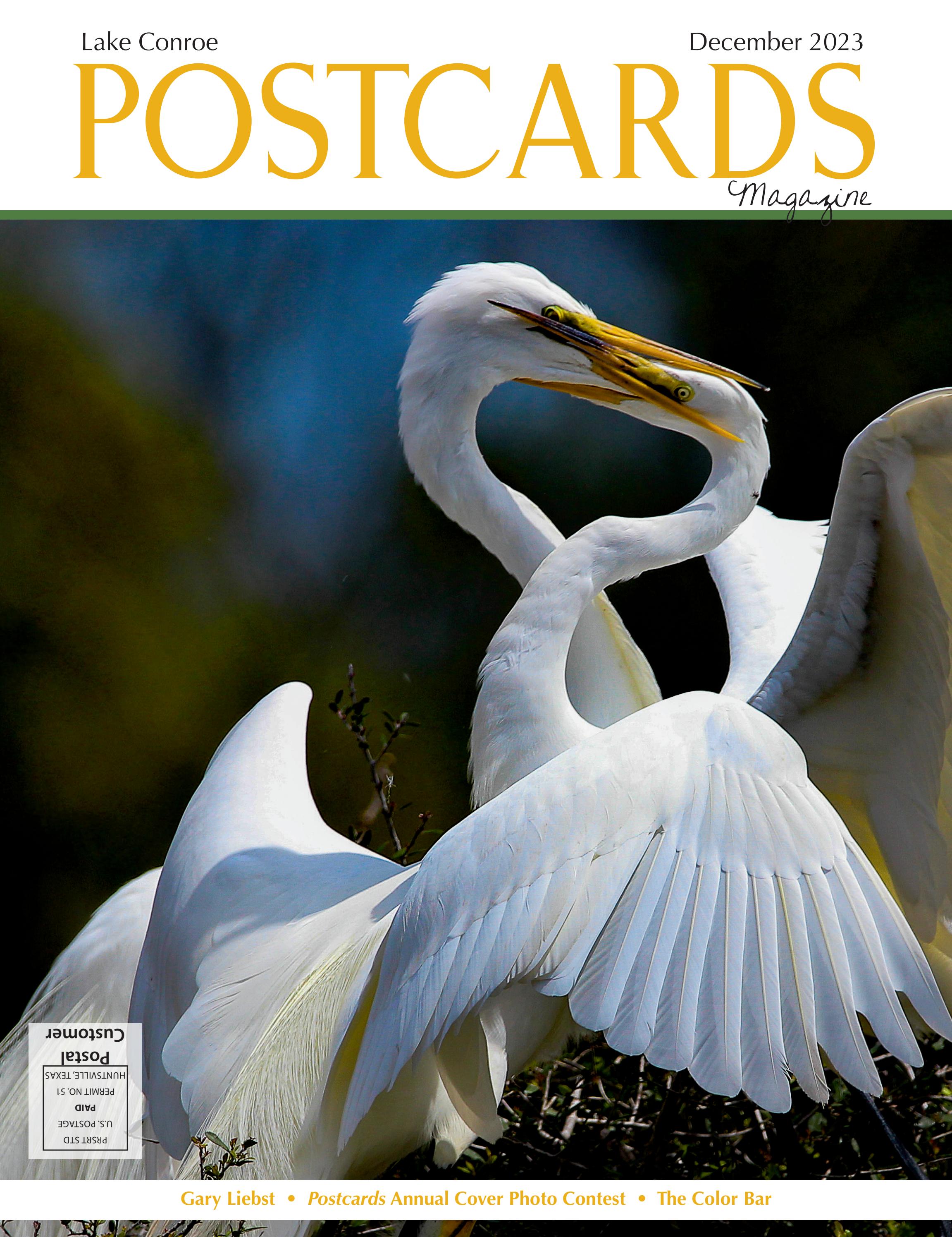 POSTCARDS MAGAZINE Lake Conroe December 2023 by Digital Publisher