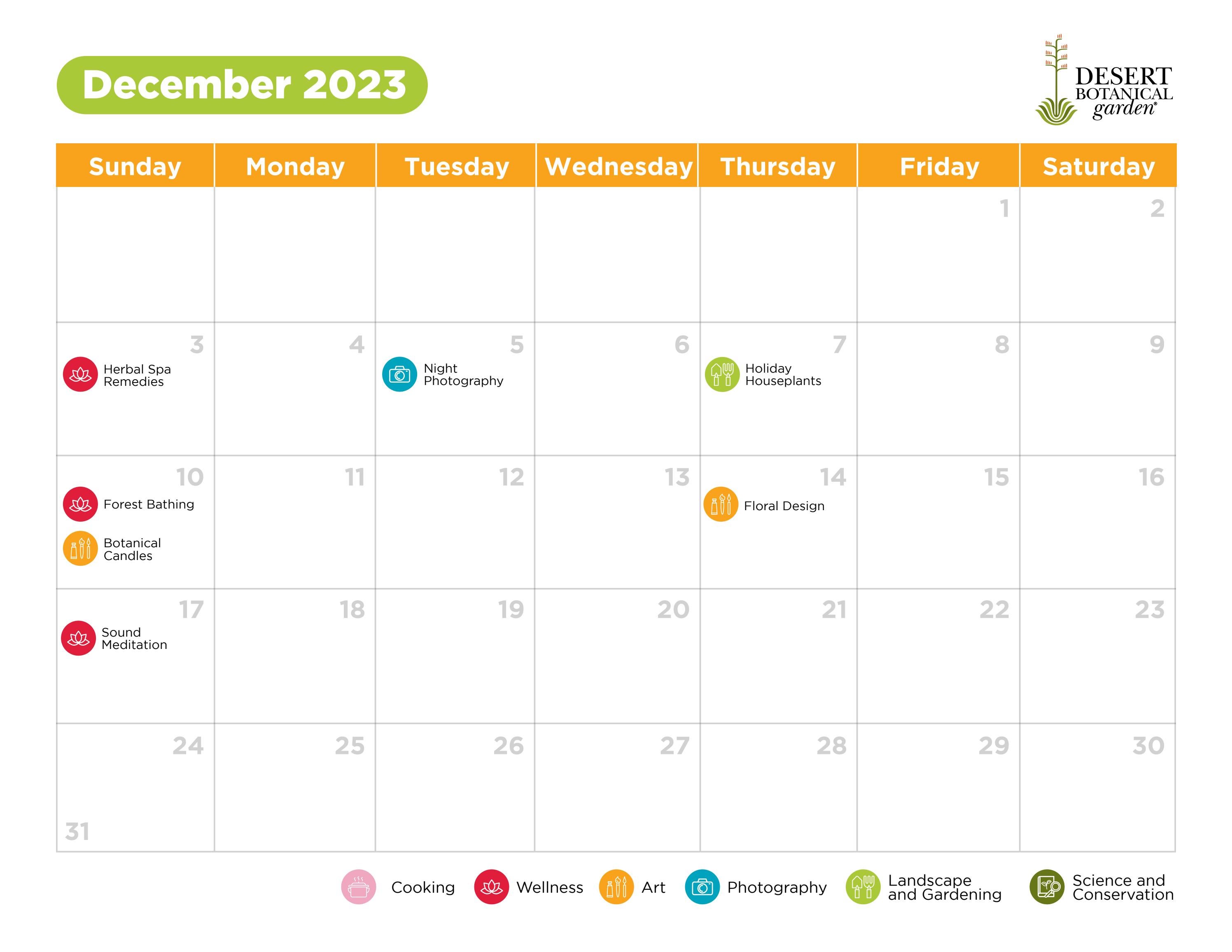 adult-education-calendar-fall-2023-by-dbgphx-issuu