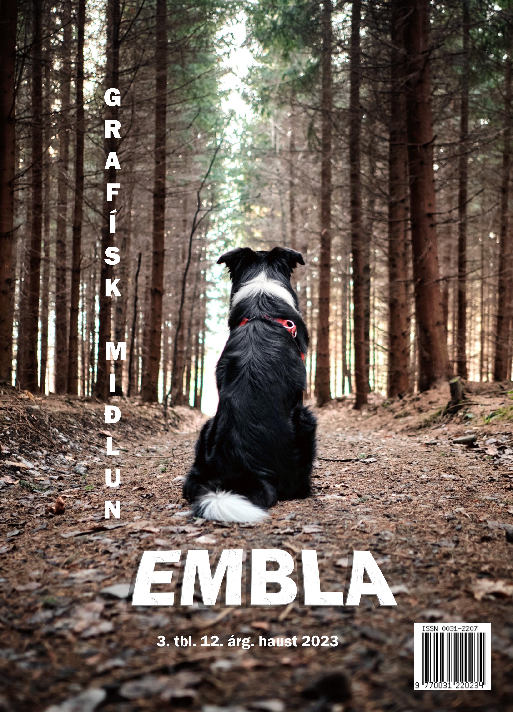 Embla - Helga Anna Ragnarsdóttir by Tækniskólinn - Issuu