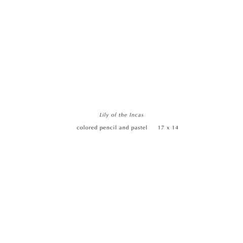 Megan Seiter: Efflorescence 第 10 页