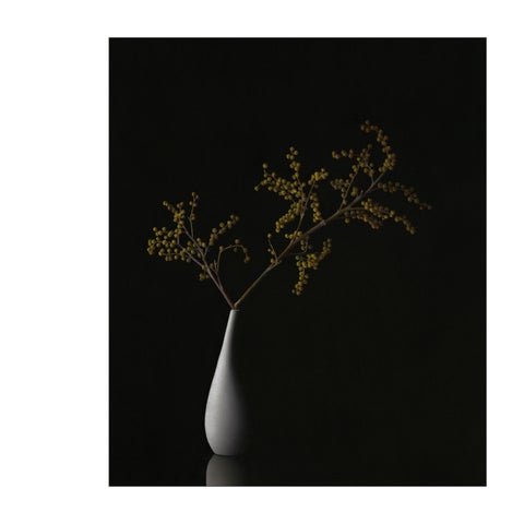 Megan Seiter: Efflorescence 第 13 页