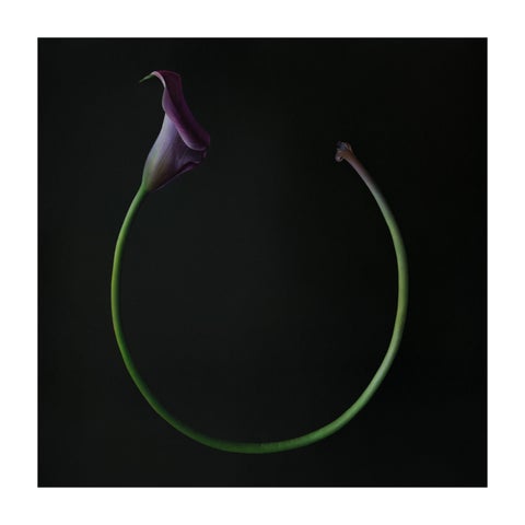Megan Seiter: Efflorescence 第 19 页