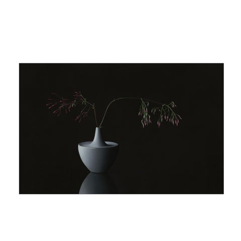Megan Seiter: Efflorescence 第 23 页