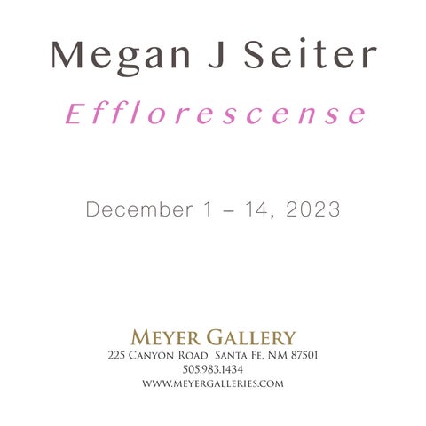 Megan Seiter: Efflorescence 第 3 页