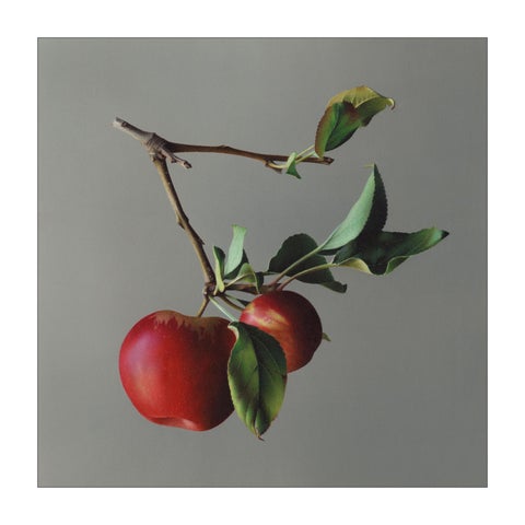 Megan Seiter: Efflorescence 第 9 页