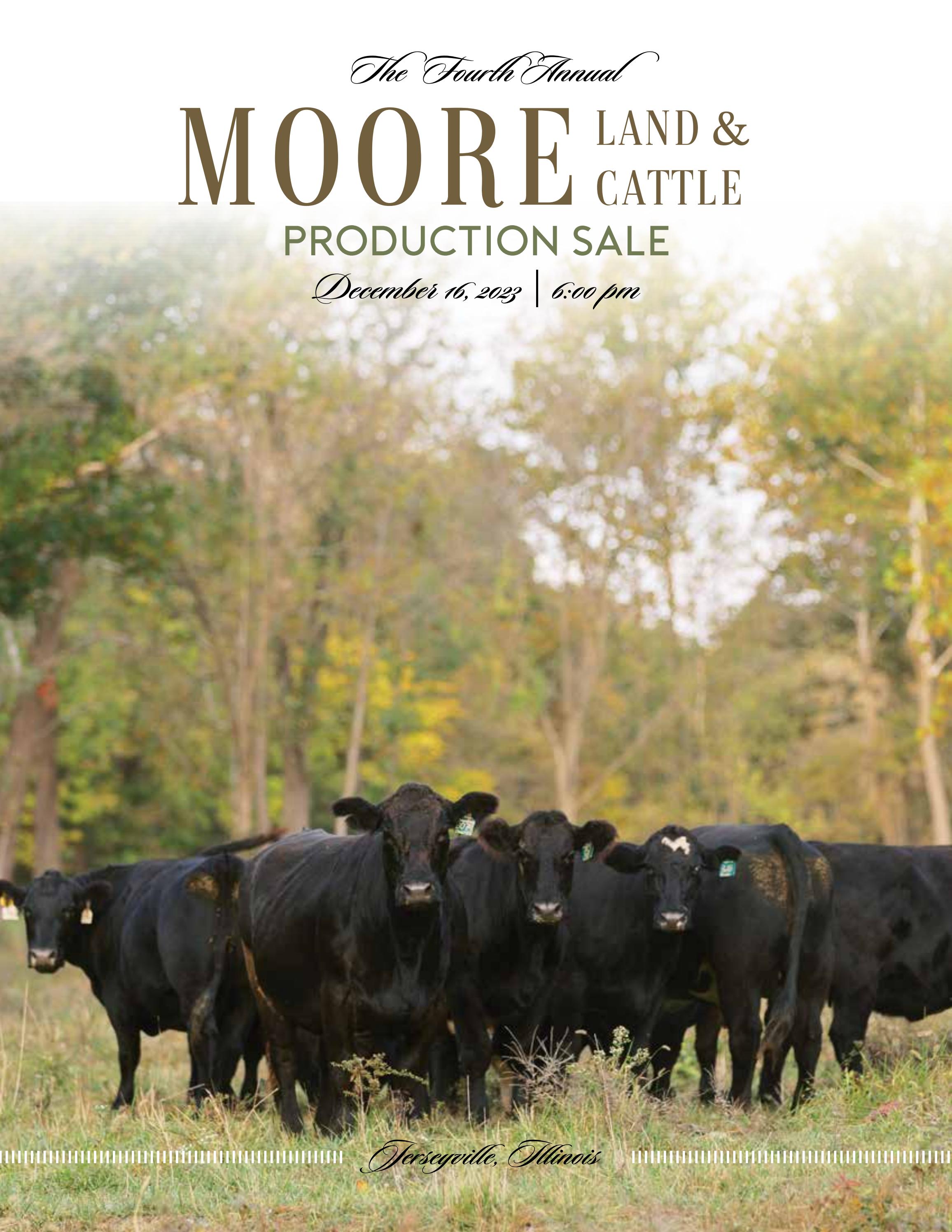 Moore Land & Cattle Fourth Annual Production Sale by Tracy McMurphy Issuu