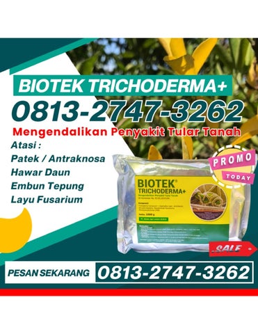 biotektrichoderma Publisher Publications - Issuu