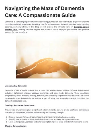 Navigating the Maze of Dementia Care: A Compassionate Guide by ...
