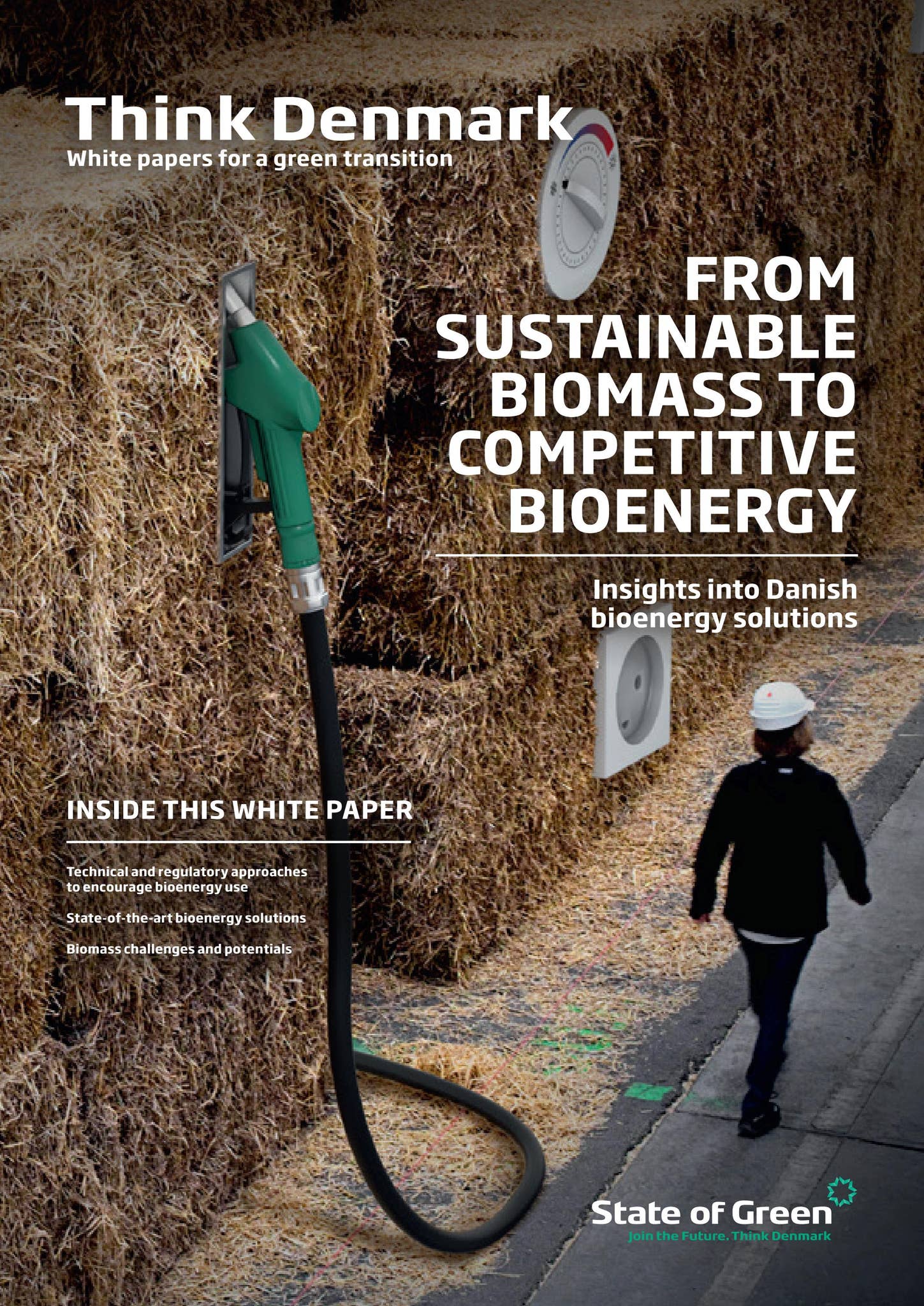 From Sustainable Biomass to Competitive Bioenergy by State of Green - Issuu