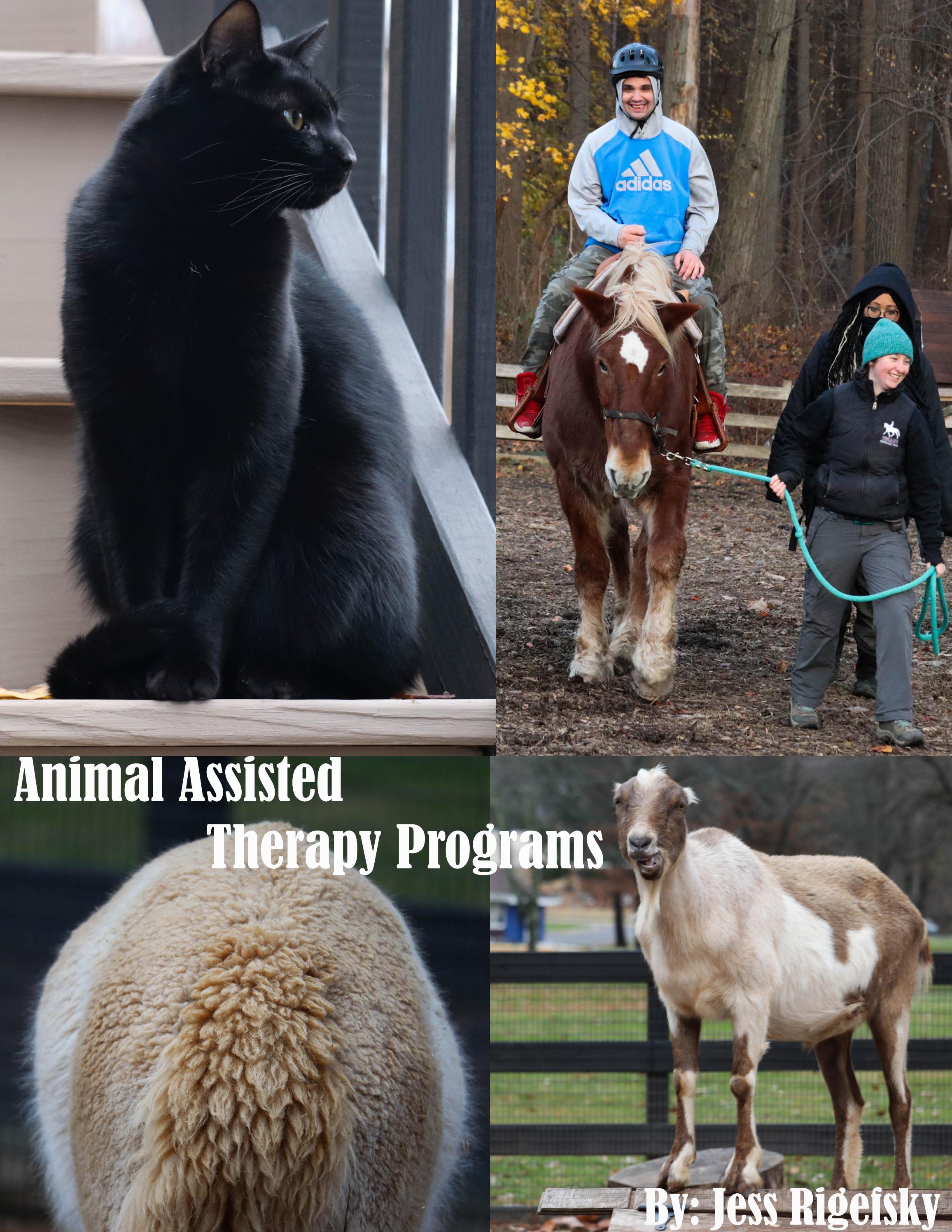 Animal Assisted Therapy Program by jessalynnrig Issuu