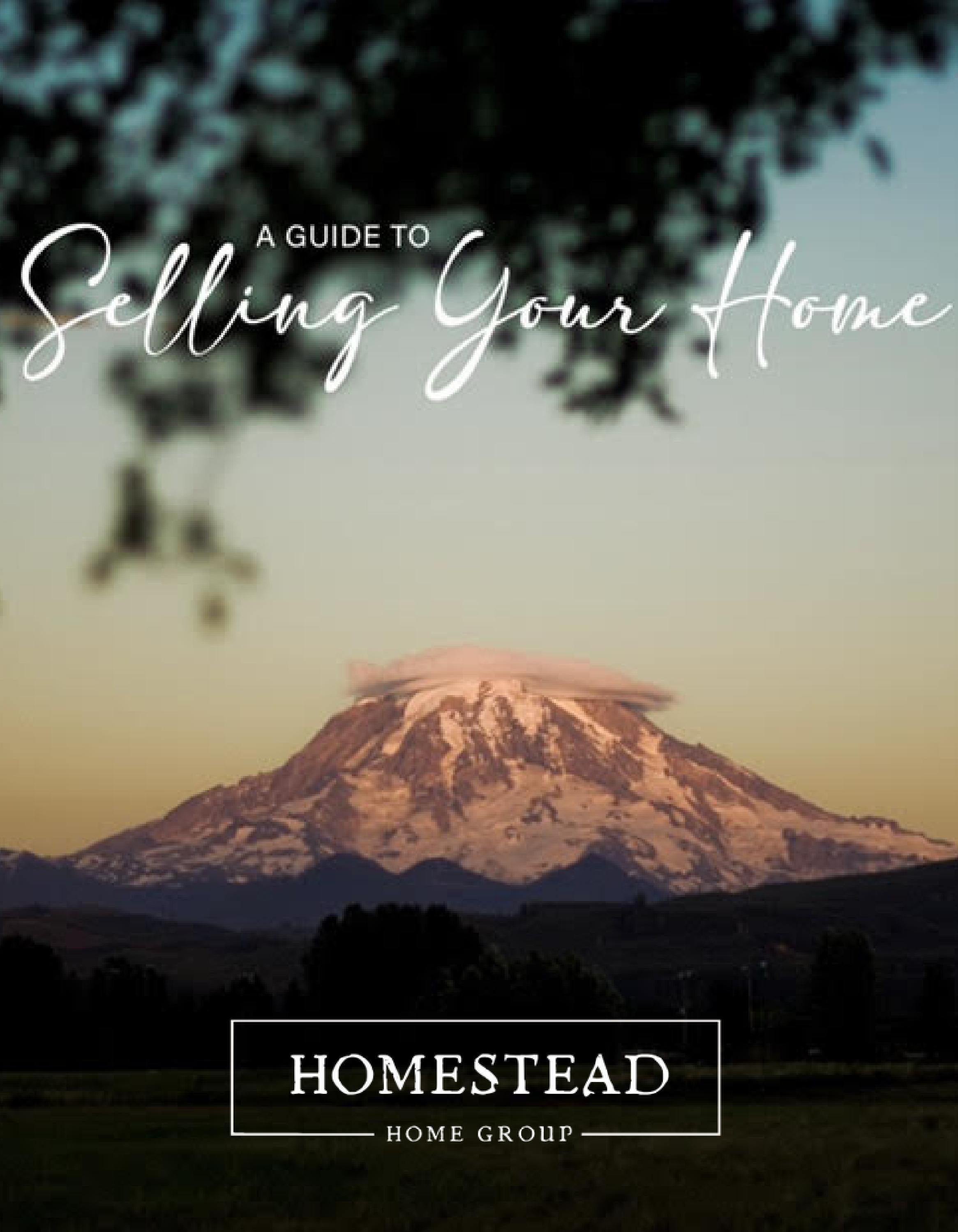 Selling Your Home Info Packet By Homesteadhomegroup Issuu