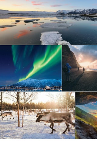 Uniworld 灯饰目录 · Nordics x Adventure Travel Co-Op (US) 第 2 页