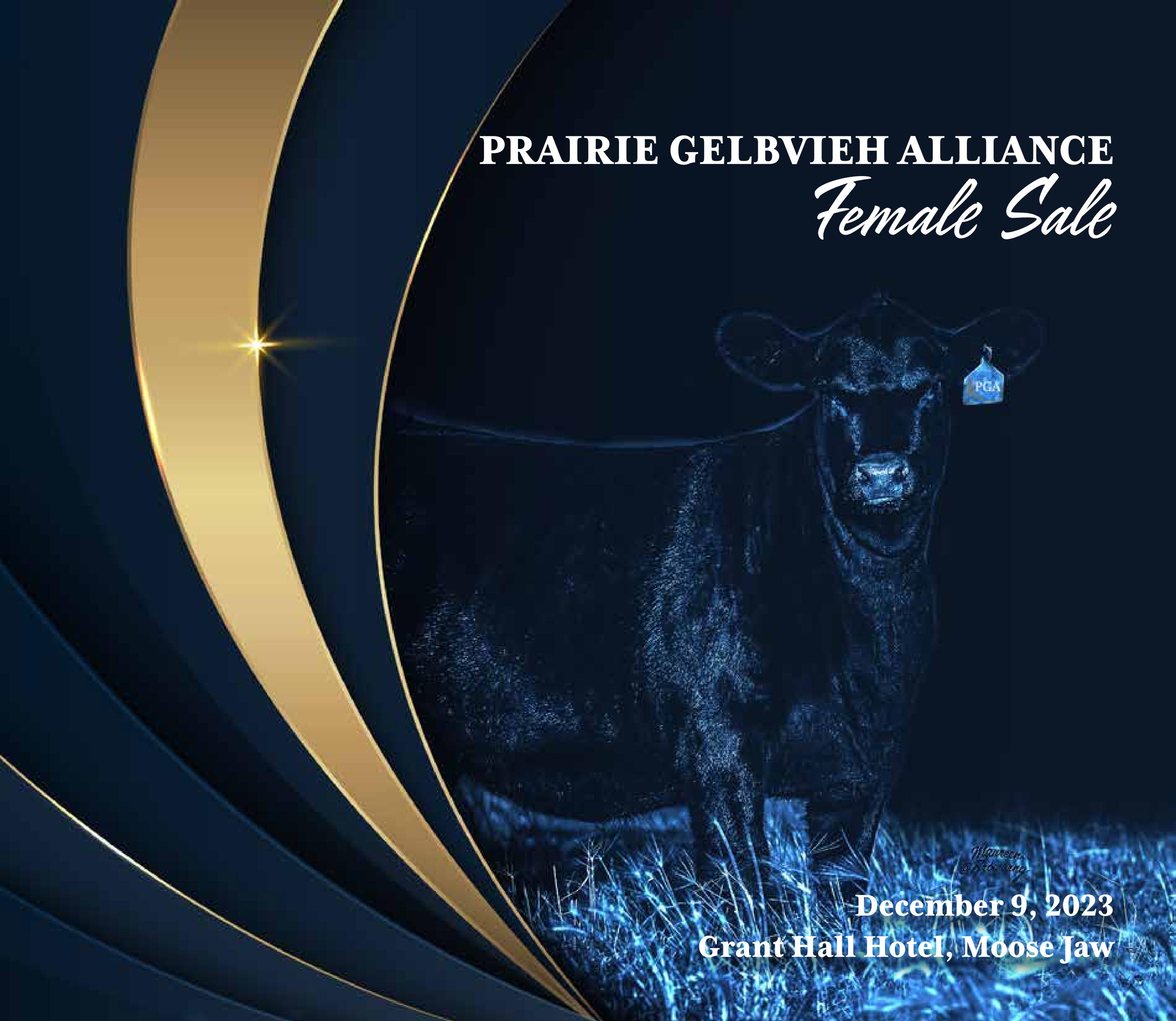 Prairie Gelbvieh Alliance Sale Moose Jaw, SK by DLMSCattlevids.ca