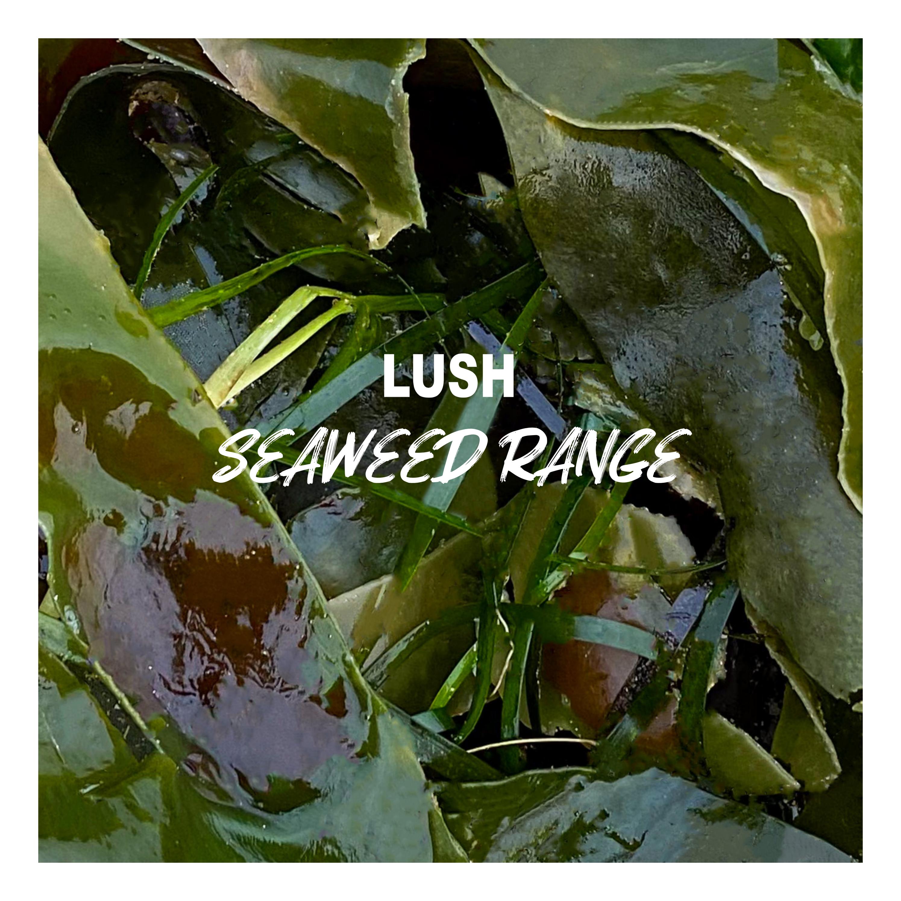 Lush 2023 Seaweed catalogue Abigael Wilson PHO311 by Abigael Lily