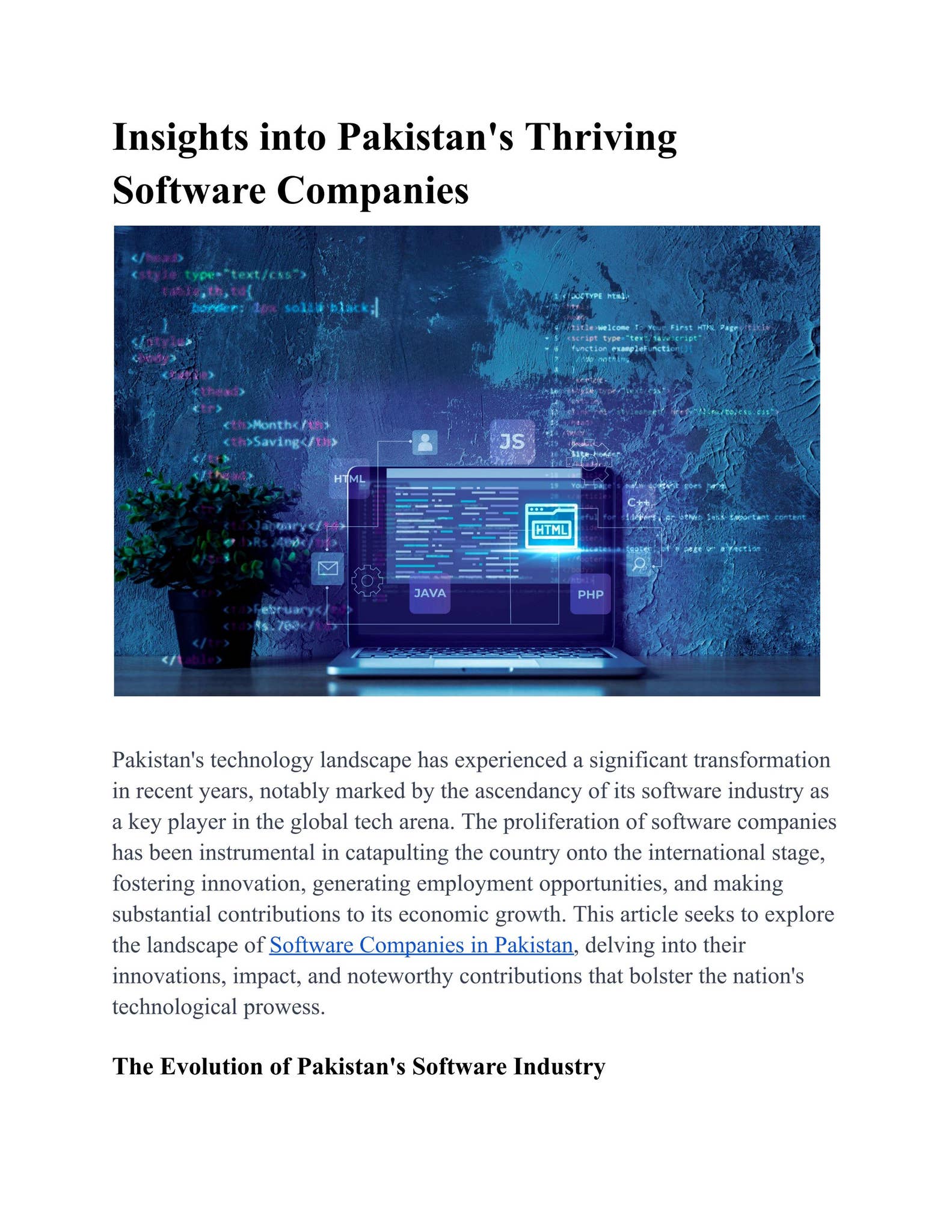 PAKISTAN SOFTWARE COMPANIES visual data 5