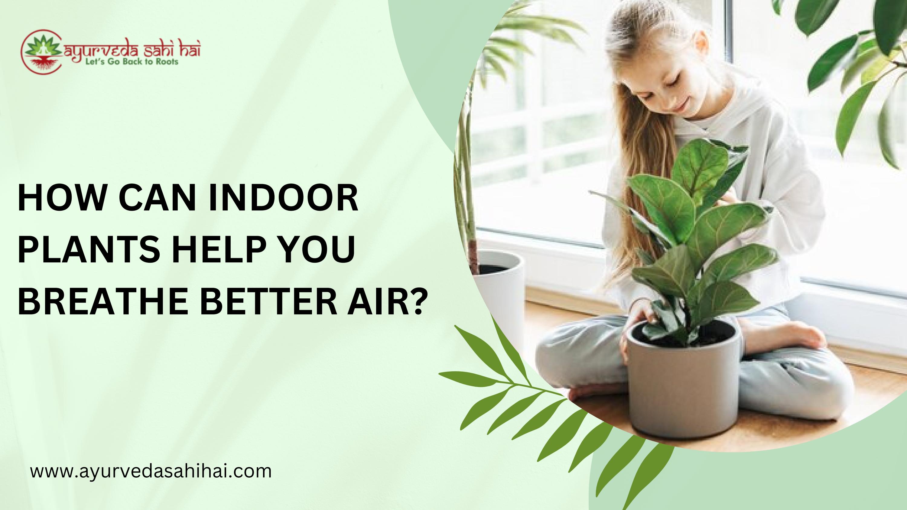 How Can Indoor Plants Help You Breathe Better Air? by Ayurveda Sahi Hai