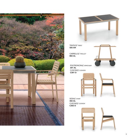 ICONICA 第 9 页
