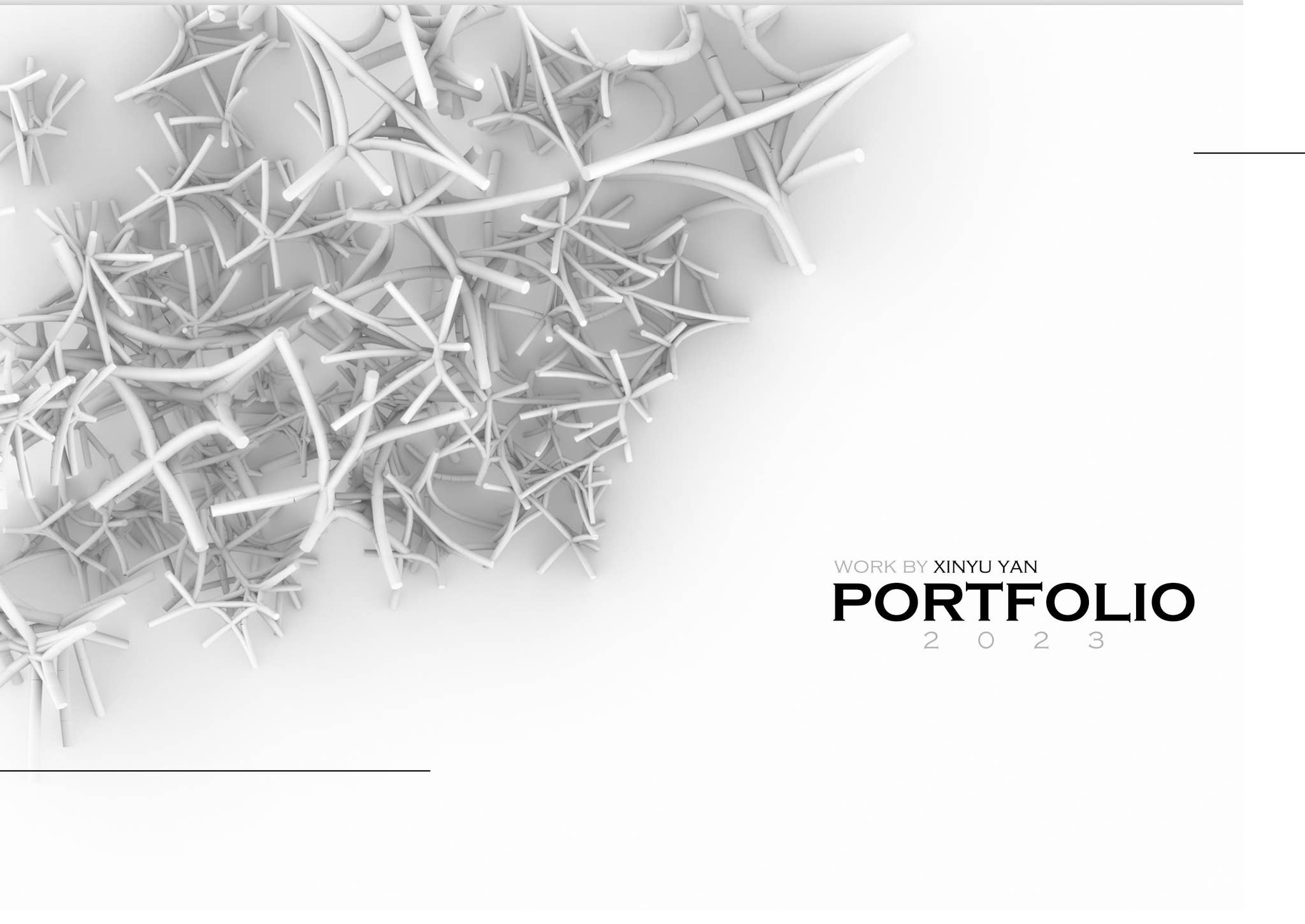 Portfolio from Xinyu Yan by Yxyu010613 - Issuu