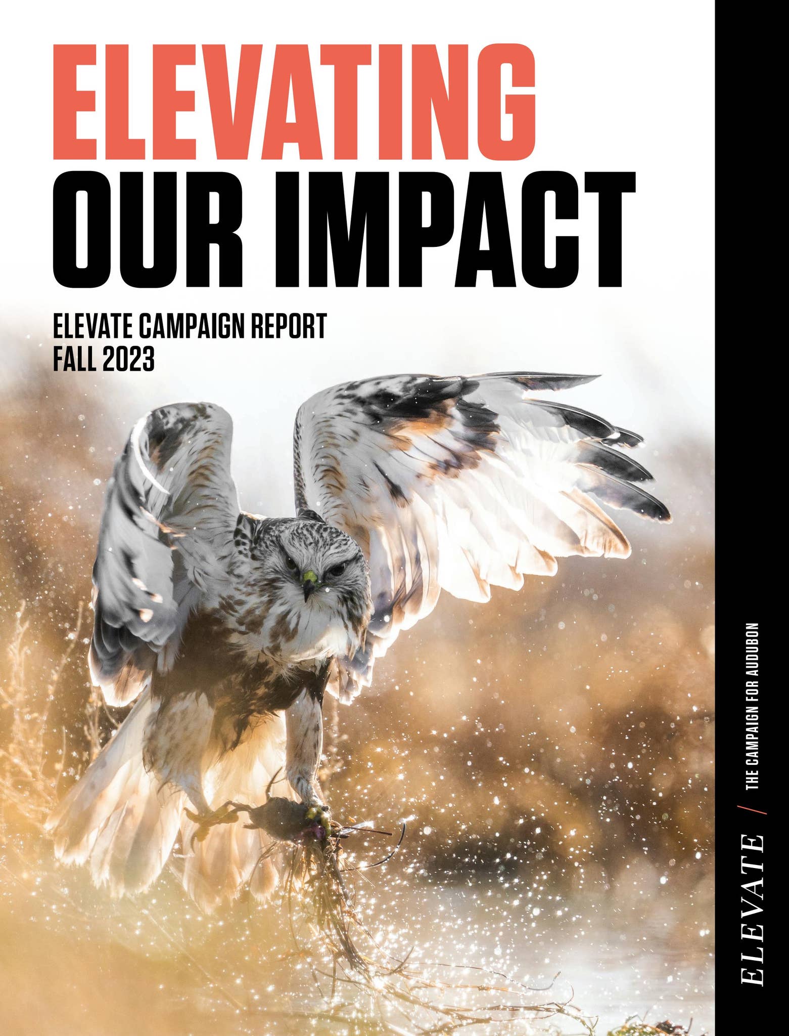 Elevate Campaign Report by audubondc - Issuu