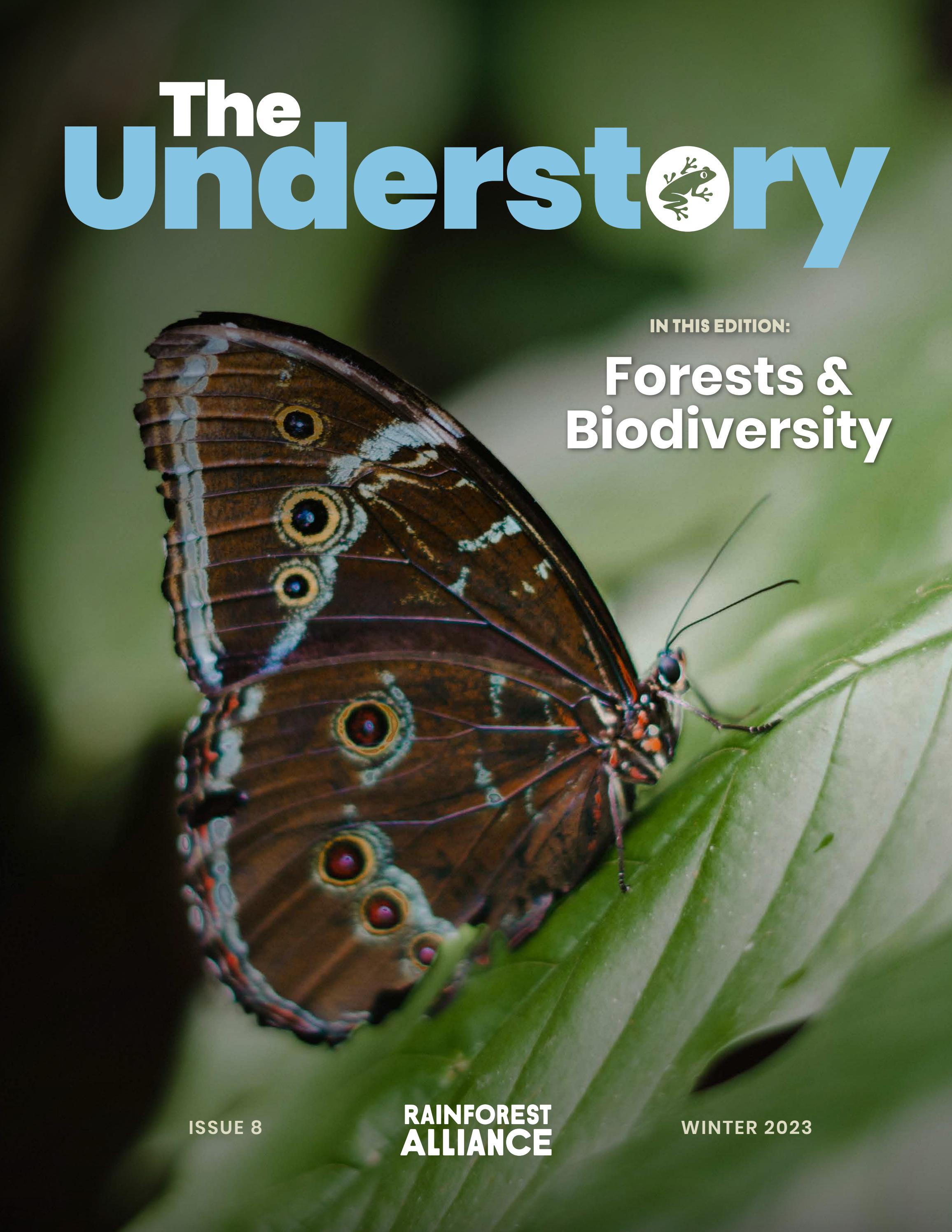 The Understory | Issue 8 | Forests & Biodiversity by Rainforest ...