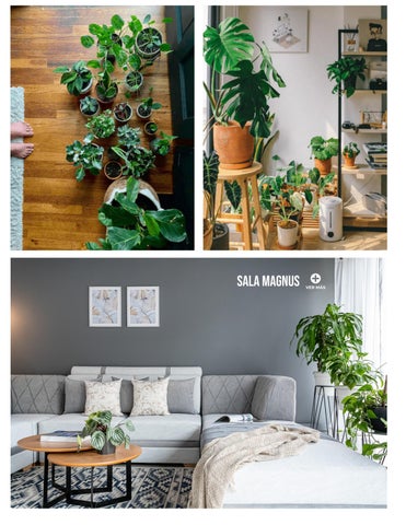 TENDENCIAS Y DISEÑO 2024 第 15 页