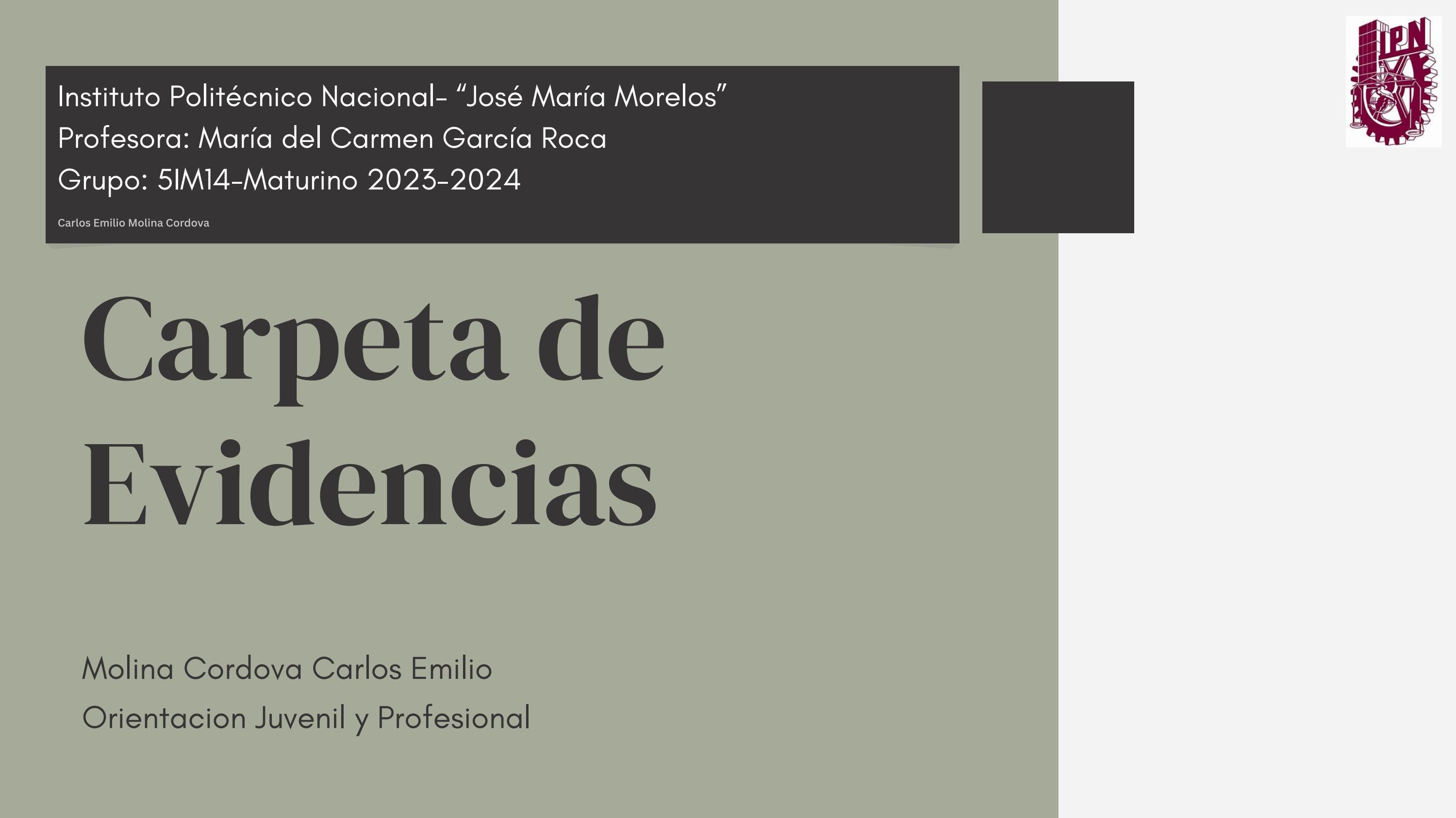 Carpeta de Evidencias by CARLOS EMILIO MOLINA CORDOVA - Issuu