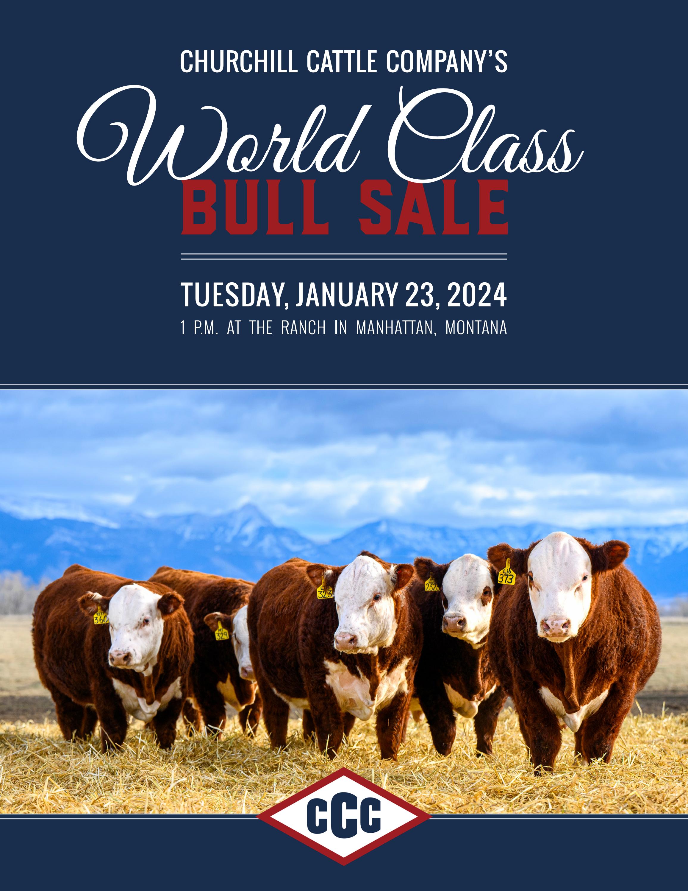 Churchill Cattle Company's World Class Bull Sale by American Hereford