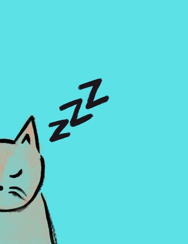 Cat story by adrijuh - Issuu