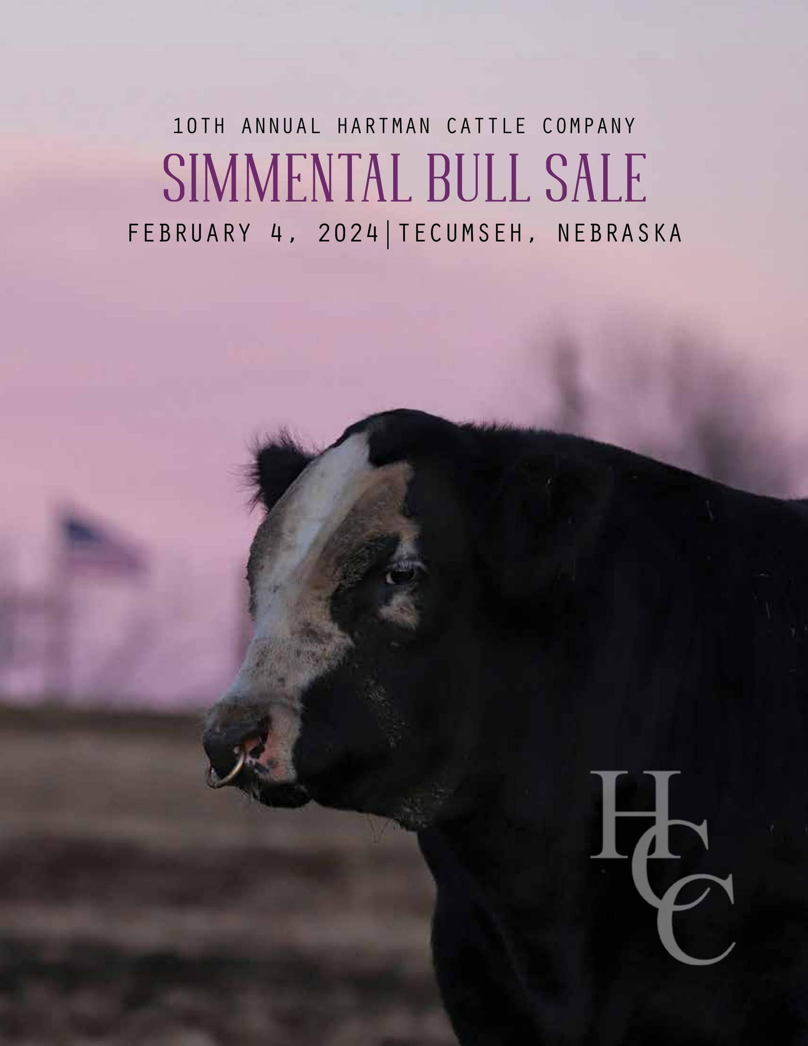 The 10th Annual Hartman Cattle Company Simmental Bull Sale by Tracy