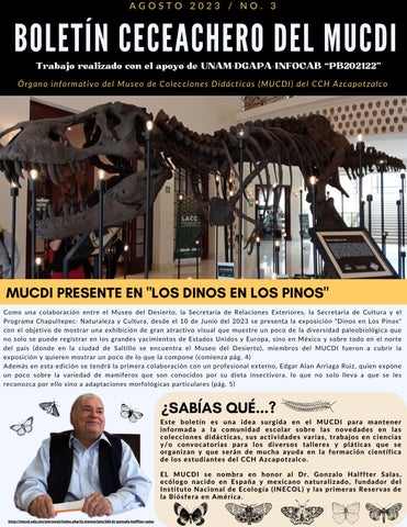 Boletín Ceceachero del MUCDI No. 3