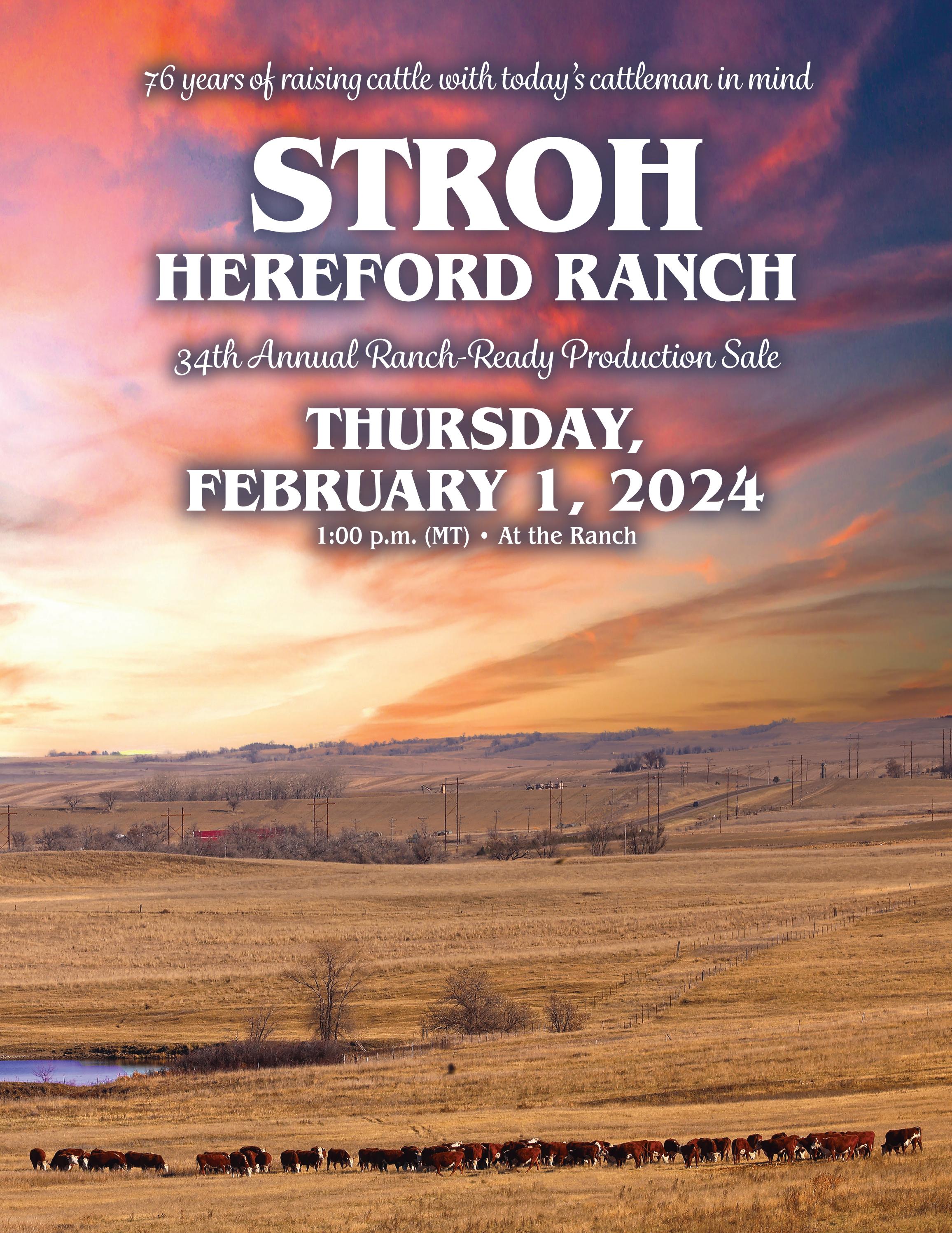 STROH HEREFORD RANCH 2024 Ranch Ready Production Sale by Matt Stroh Issuu