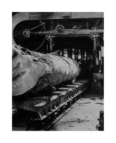 Gloster 2024 家具目录 第 9 页