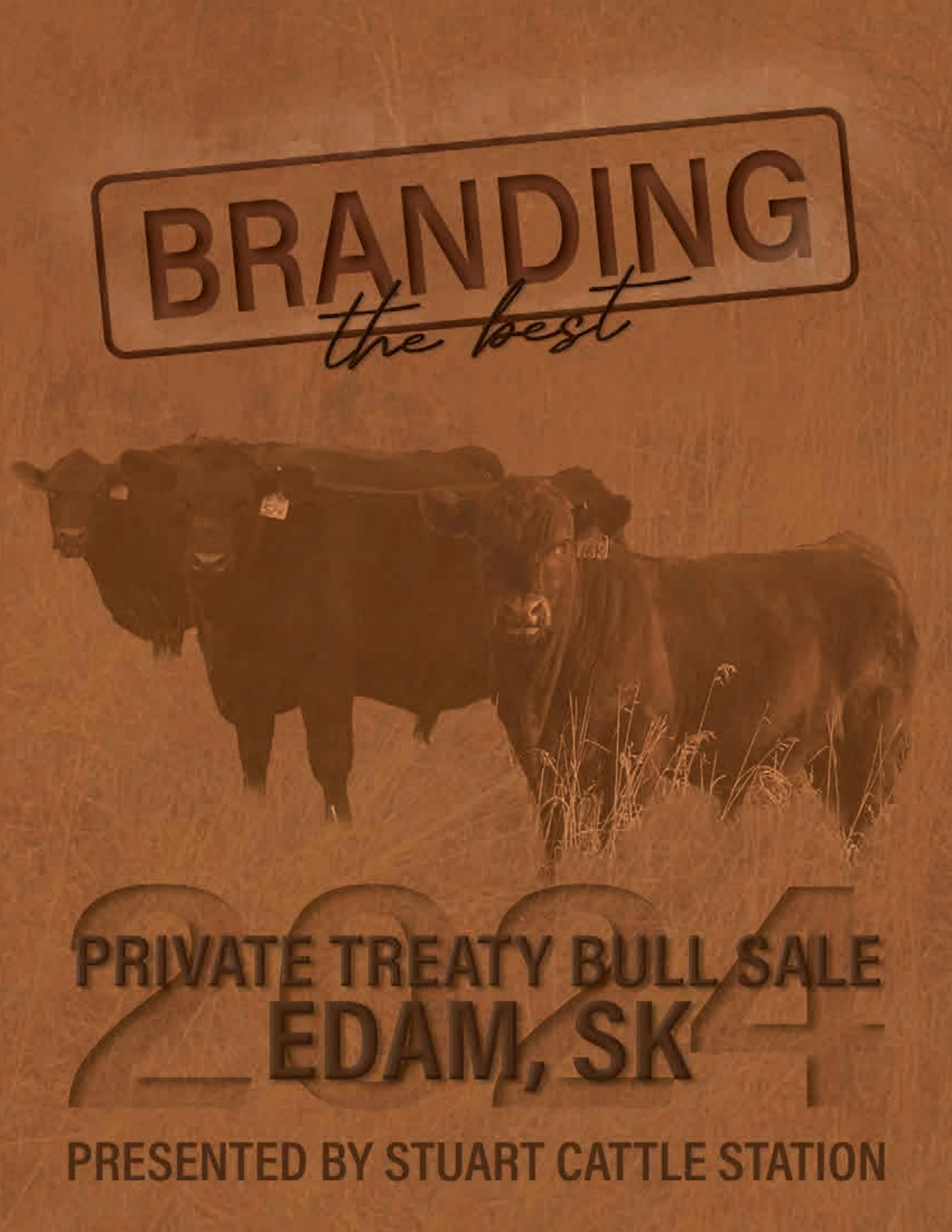 Branding The Best Presented by Stuart Cattle Station by Today's Publishing Inc. Issuu
