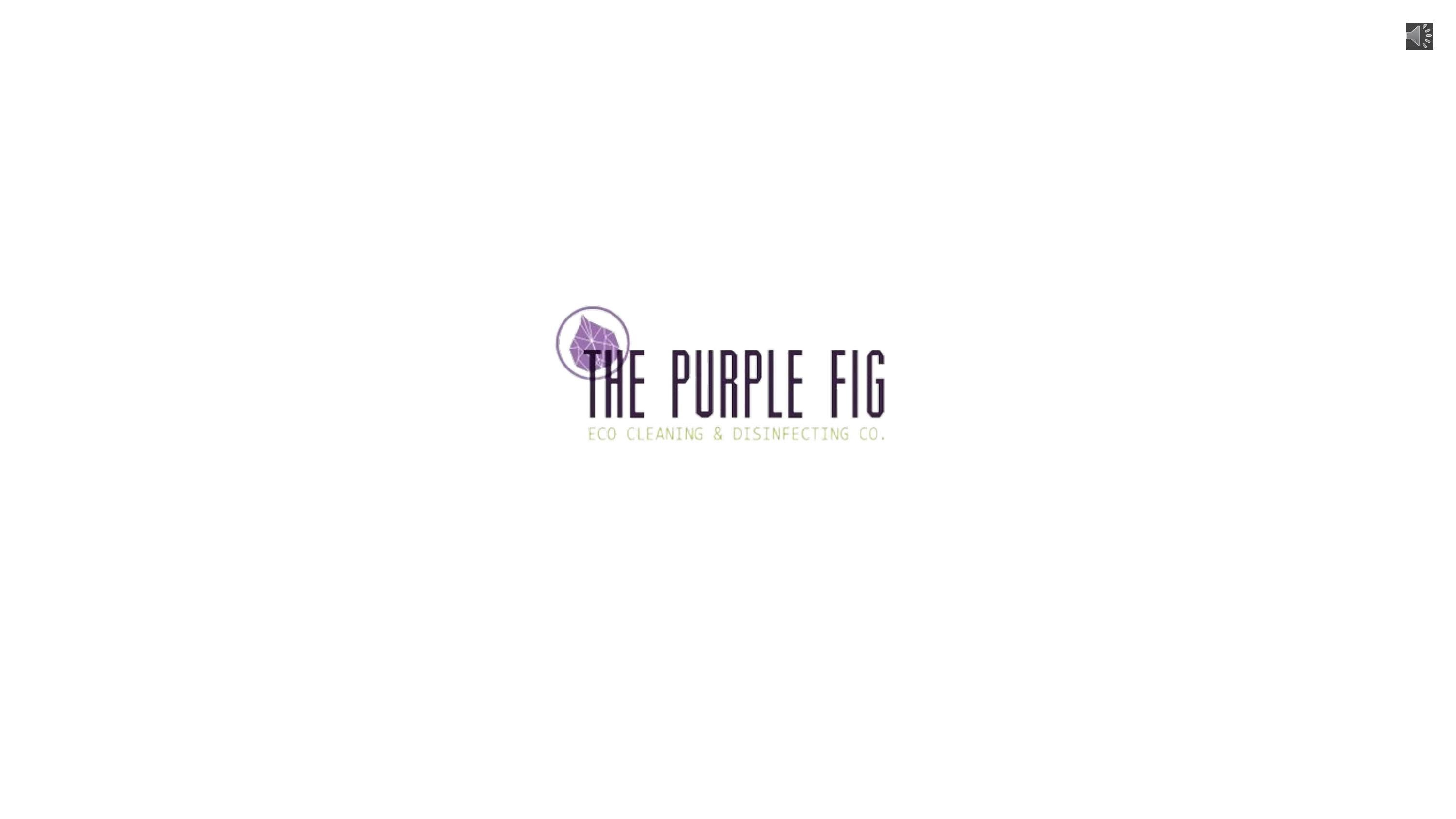 Environmentally Friendly House Cleaning Services In Austin, TX by The Purple Fig Eco Cleaning Co