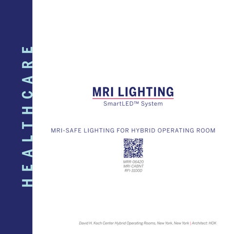 Kirlin Healthcare 灵感 指南 第 10 页