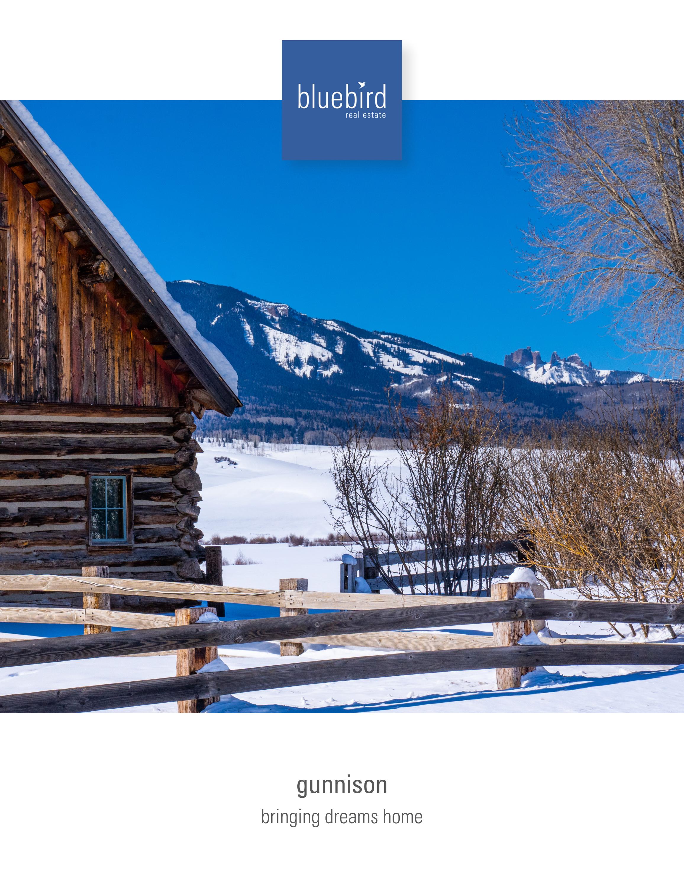 Birdseye View Gunnison Market Snapshot Yearend 2023 by Bluebird