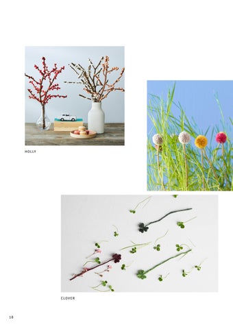 Aveva - Catalogus 春夏 2024 第 18 页