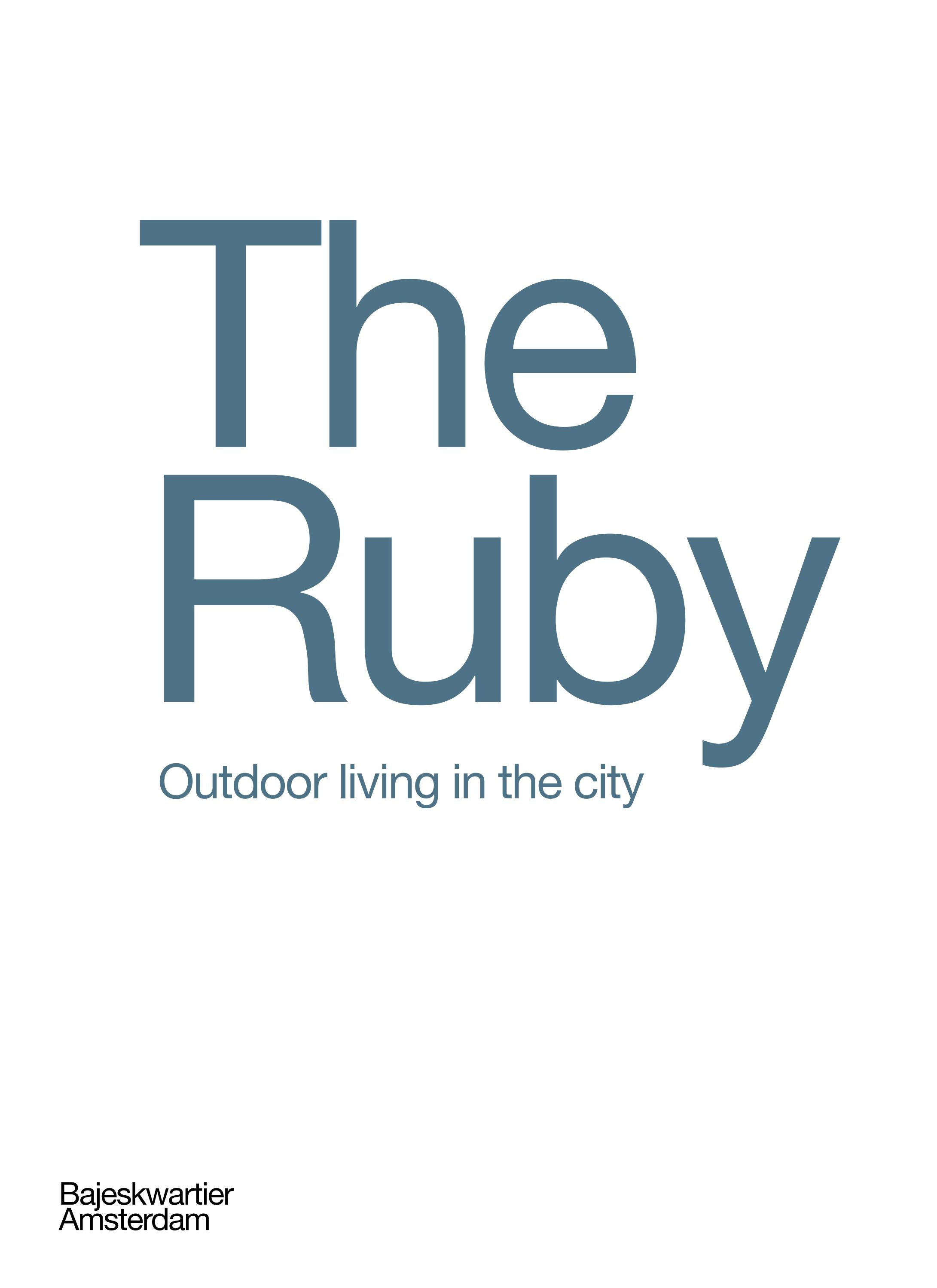 Bajeskwartier - The Ruby brochure (NL versie) by AM B.V. - Issuu