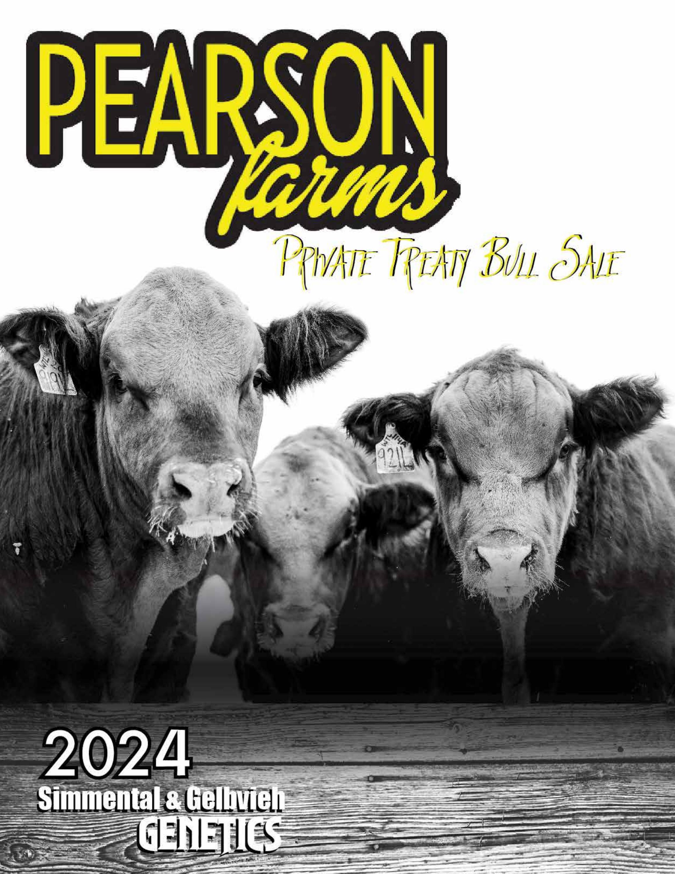 2024 Pearson Farms Sale Bulls by AgPlus Design Issuu
