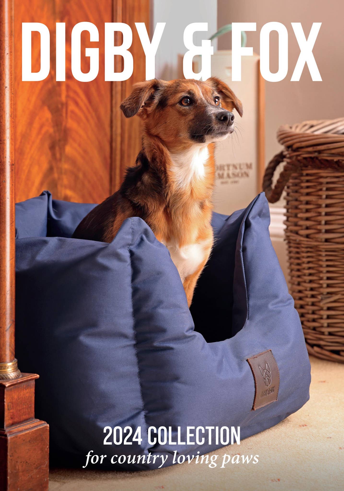 Digby & Fox Catalogue 2024 by shiresequestrian Issuu