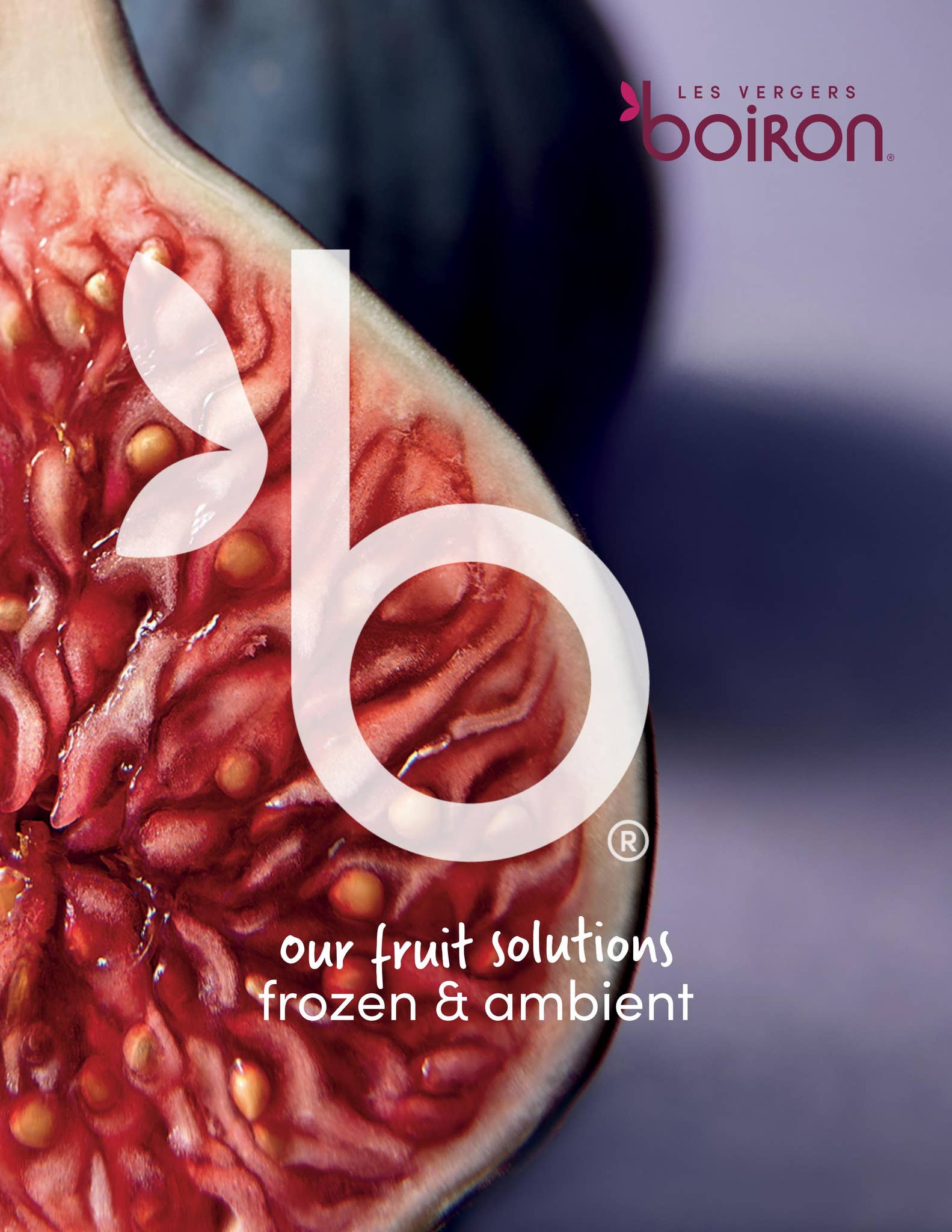 Les vergers Boiron Americas 2024 Product Catalogue by Les vergers
