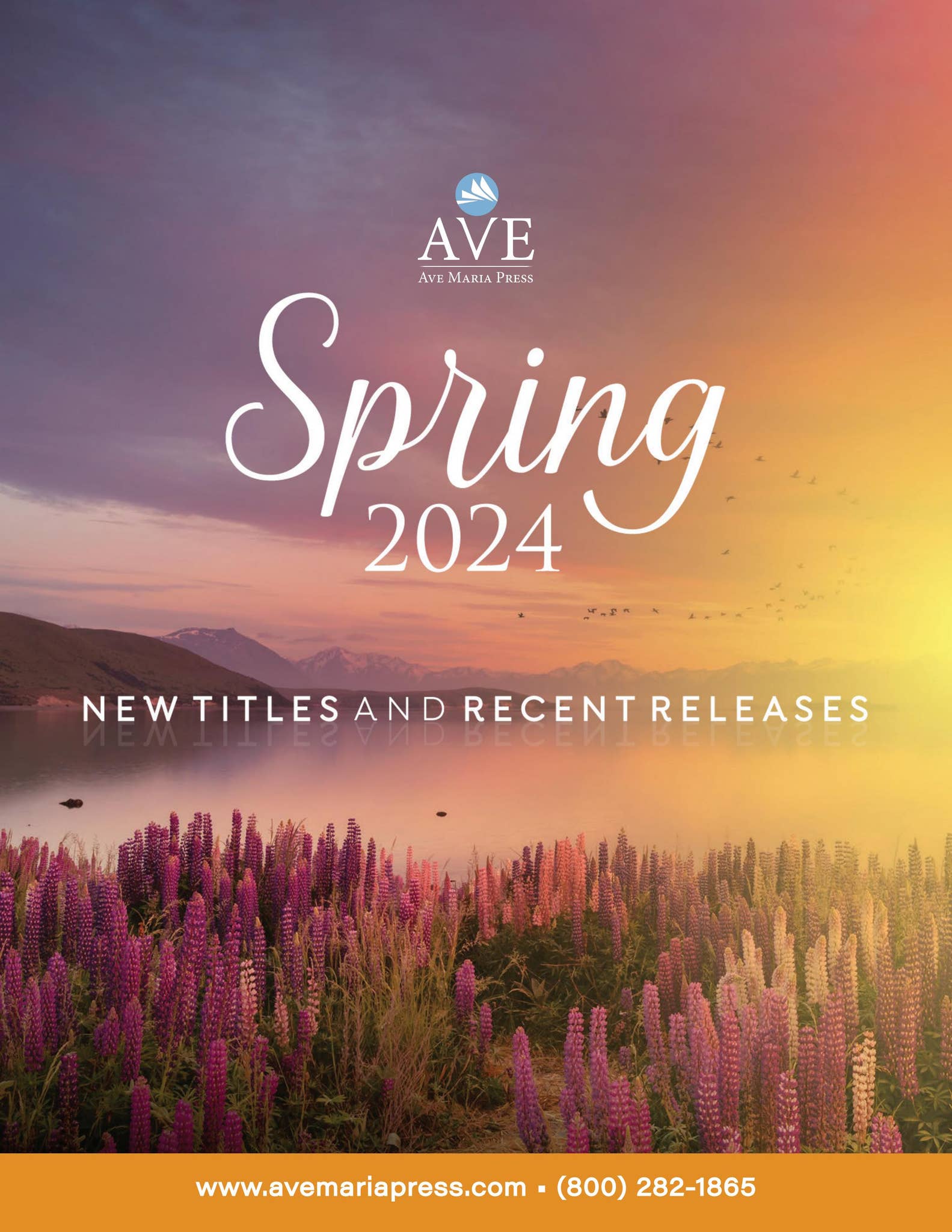 Ave Maria Press Spring 2024 Trade Catalog by Ave Maria Press - Issuu