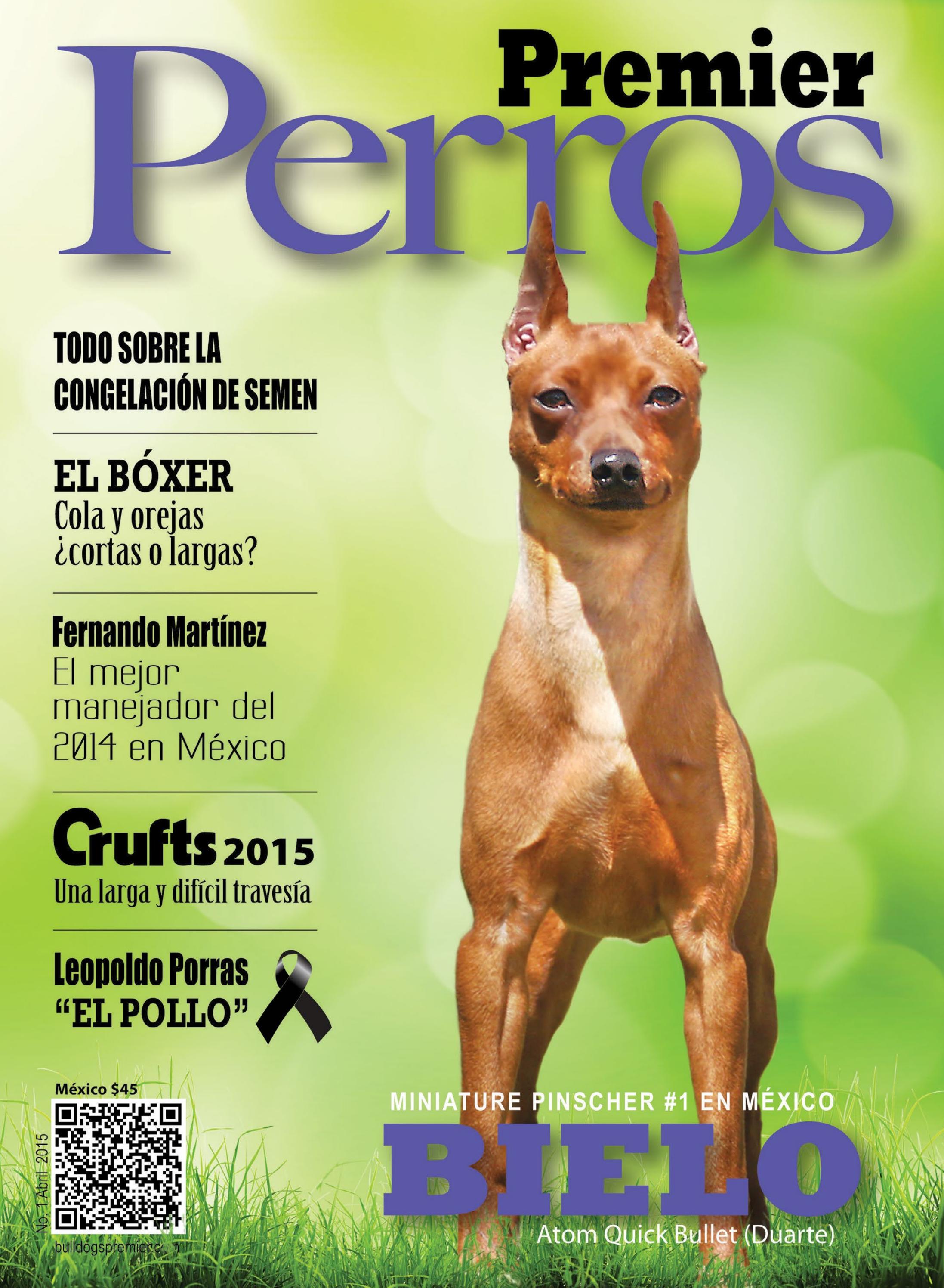 Revista Perros Premier No 01 by Origen - Issuu