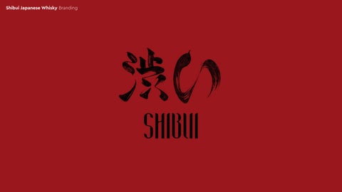 GSnow Creative 灯饰目录 · Branding Portfolio 第 20 页