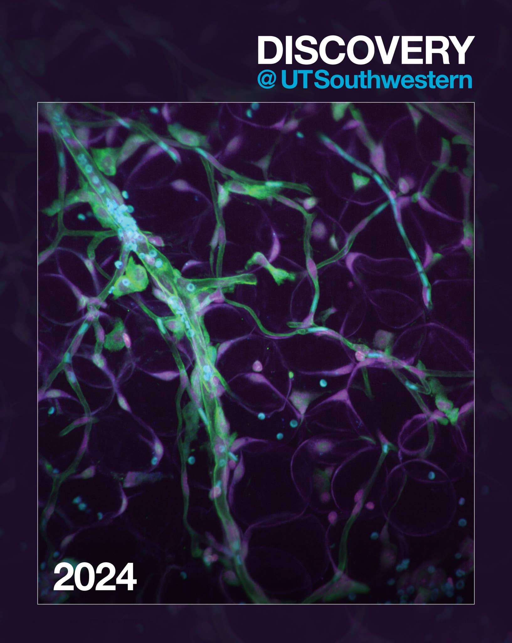 Utsw Phase 5 2024 Discovery at UTSW Scientific Report by casualastronaut - Issuu