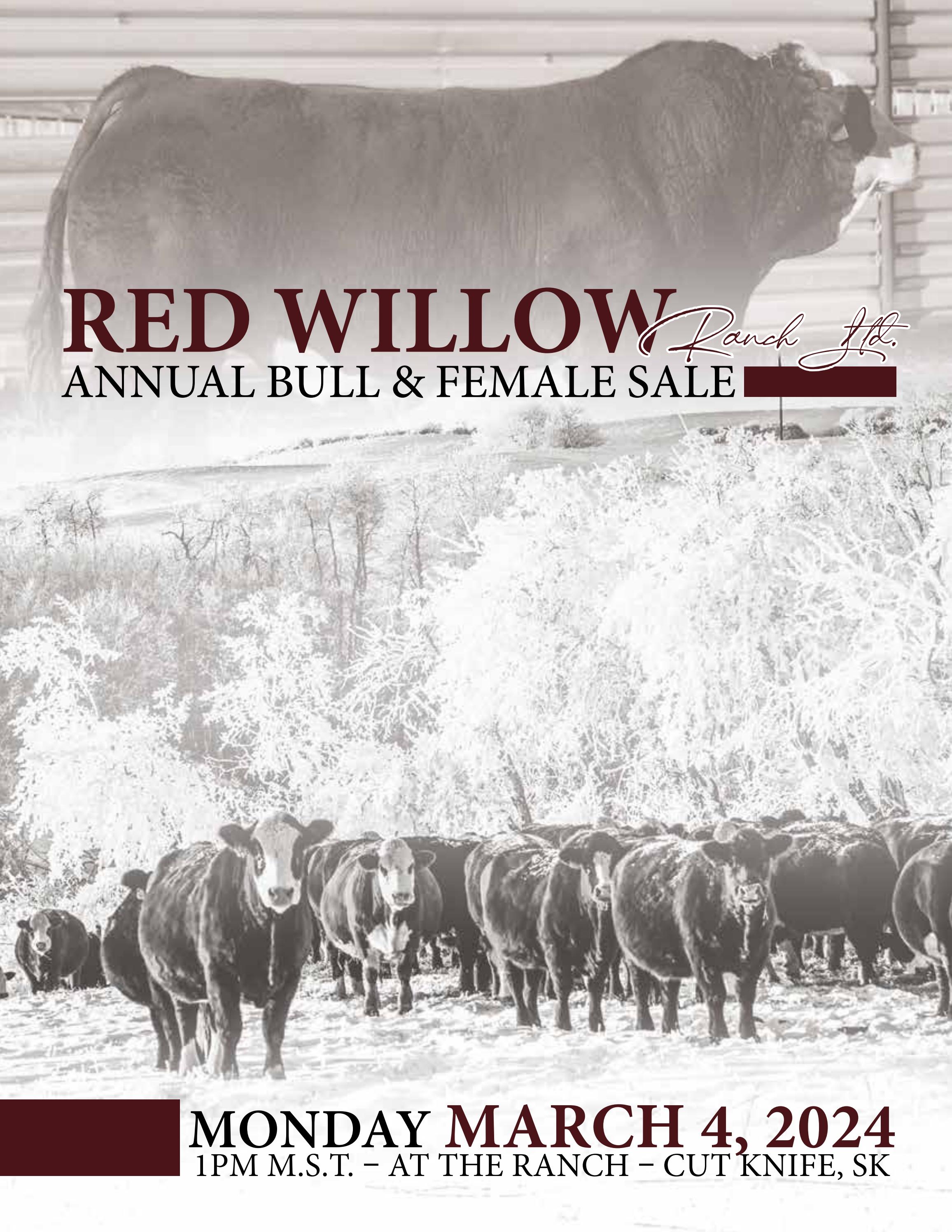 Red Willow Ranch Bull & Female Sale 2024 by Bohrson Marketing Services
