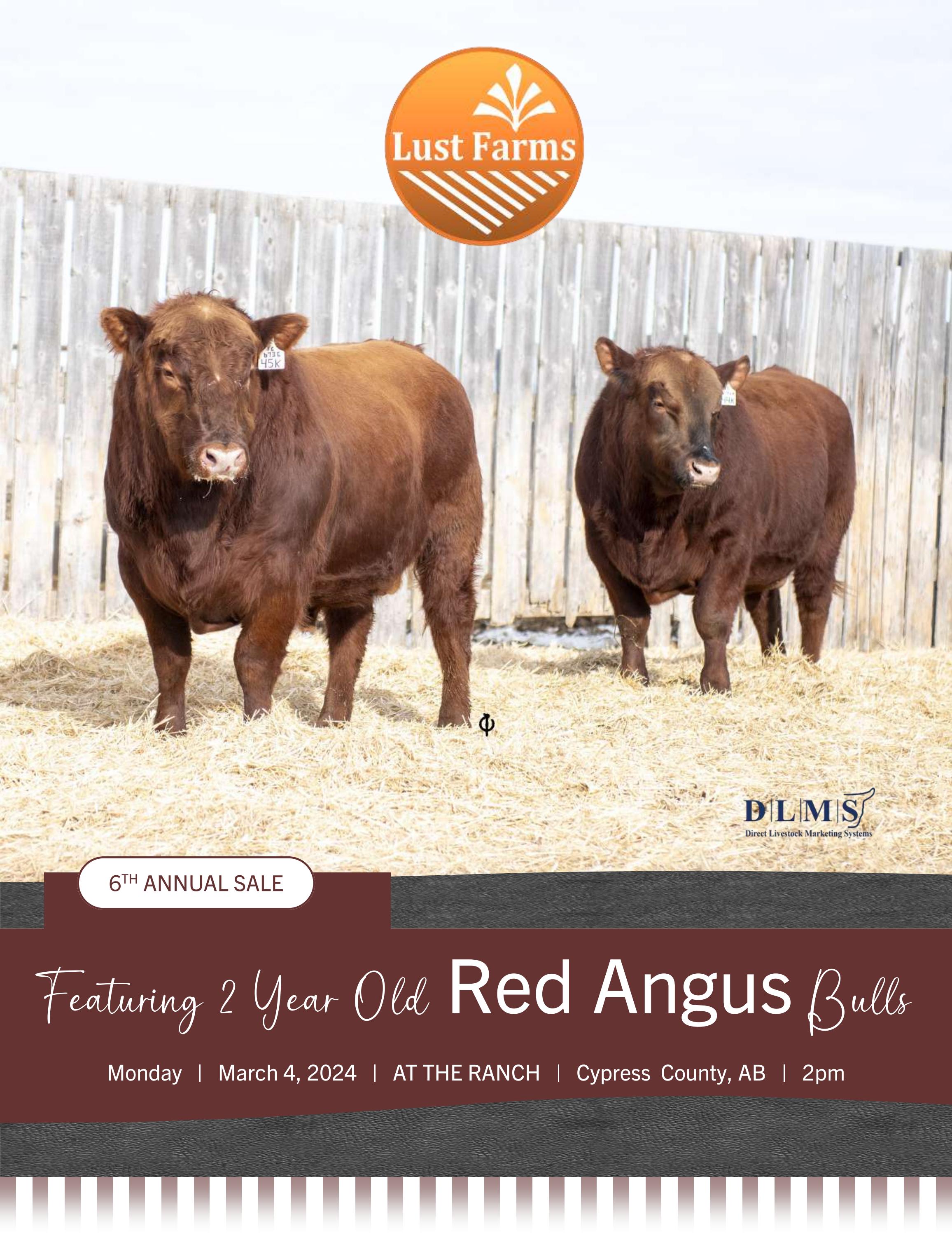 Lust Farms 6th Annual Bull Sale 2024 by DLMS-Cattlevids.ca - Issuu
