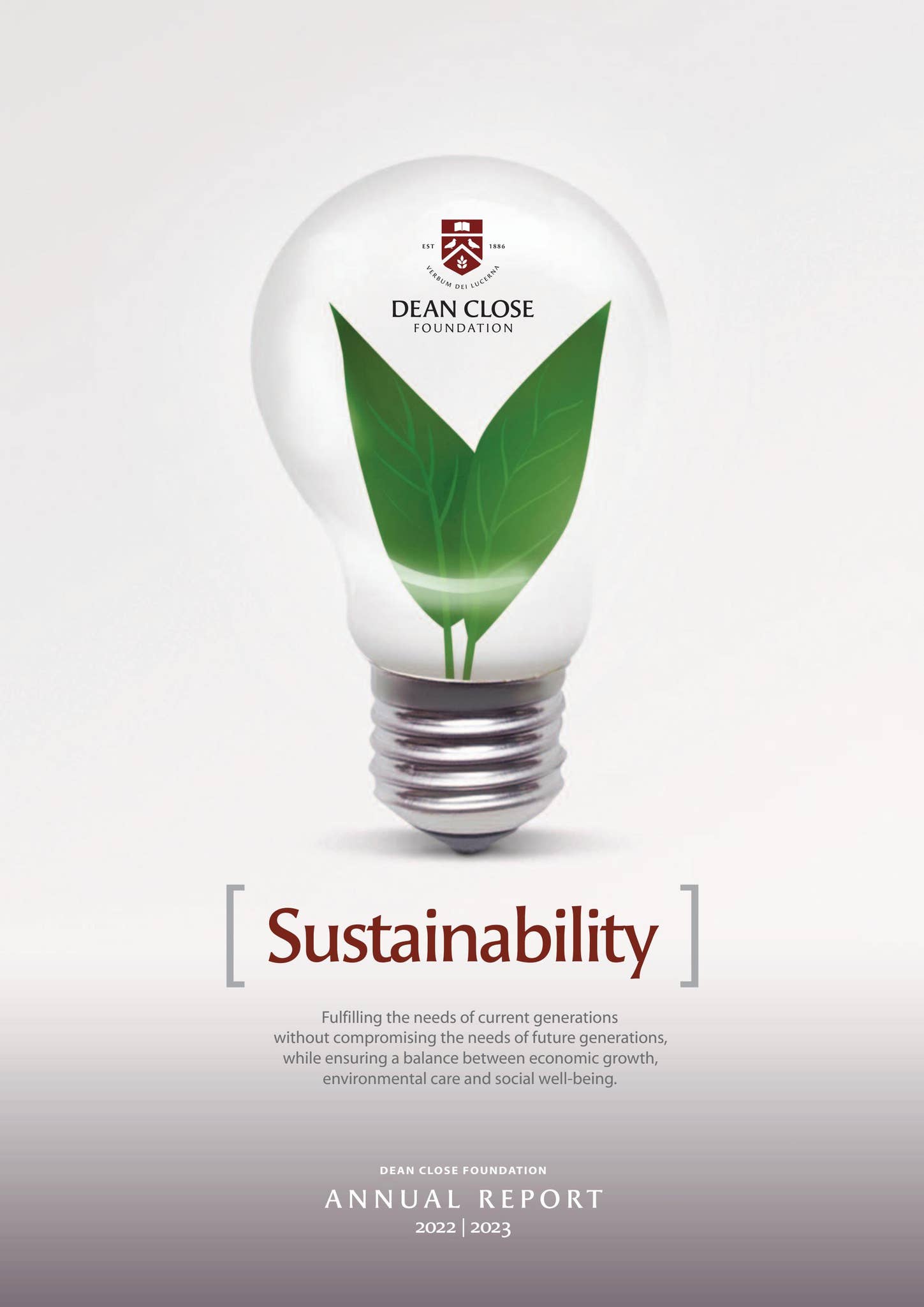 DCF Annual Report 22-23 by Dean Close School - Issuu