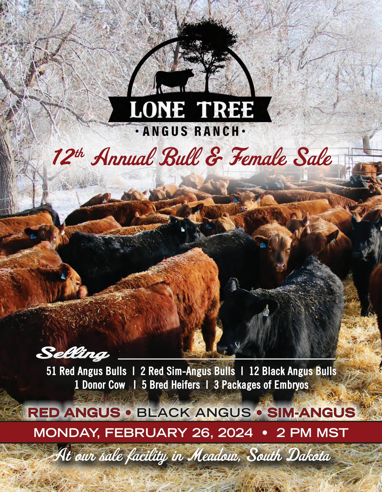 Lone Tree Angus Ranch 12th Annual Bull & Female Sale by TriState